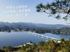 -宝荣鱼馆·临湖之宴(千岛湖店)