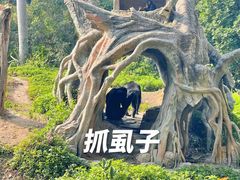-广州长隆野生动物世界