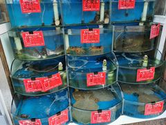 水产区-北戴河庆山饭店·海鲜砂锅粥(北戴河黑石路店)