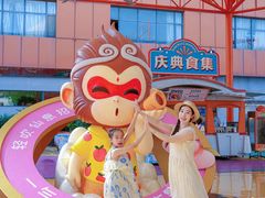 -海合安武汉极地海洋公园