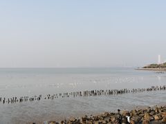 -深圳湾公园(南山区)