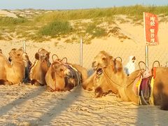 -库伦旗银沙湾旅游景区