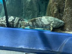 -福州罗源湾海洋世界旅游区