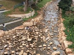 -梧桐山风景名胜区