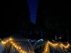 -武陵山森林公园