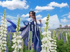 -天适樱花悠乐园