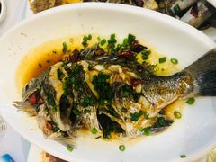 -金海湾海鲜排档(朱家尖店)