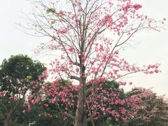 -荔湾区儿童公园