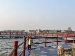 -鹅湖玫瑰文化园