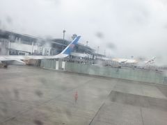 -胡志明新山一国际机场