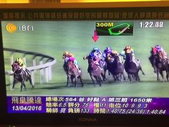 -世外桃源水疗会(皇庭彩园店)