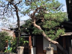 -% Arabica(京都东山店)