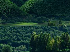 -莫干山风景区