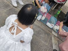 -茯茶镇