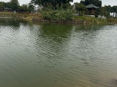 -王借岗森林公园
