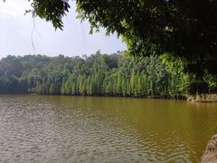 -三水森林公园