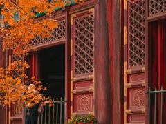 -香山公园