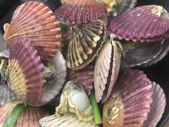 彩虹贝-老虎滩大连海鲜烧烤(建邺云锦路总店)