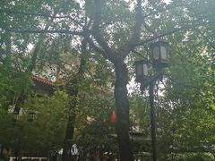 -香园自助小火锅