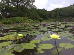 -云溪植物园