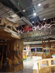 -鲁比猴非洲探索部落(喜盈门店)
