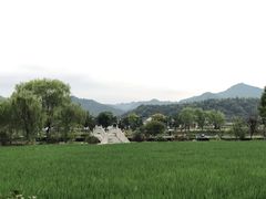 -山水一号·中餐厅