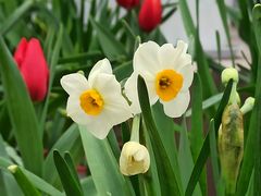 -共青国家森林公园-售票处