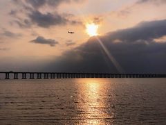 -宝安西湾红树林湿地公园