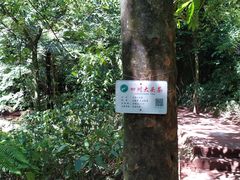 -赤水丹霞旅游区·佛光岩