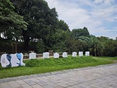 -杨梅坑