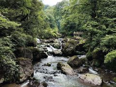 -龙苍沟森林公园