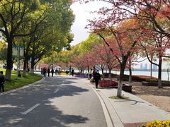 -暨阳湖生态园