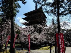 -醍醐寺