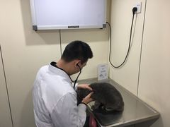 -荣耀金沙动物医院(清江西路店)