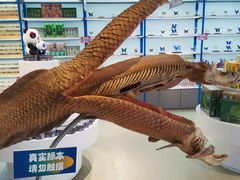 -生命奥秘博物馆