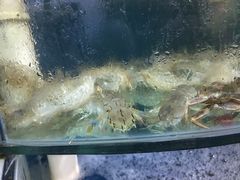 -晓伟海鲜家常菜
