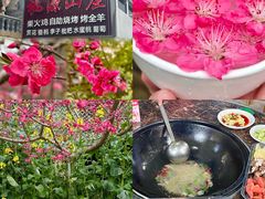 -桃源山庄·水蜜桃采摘·柴火鸡·烧烤团建(龙泉山店)