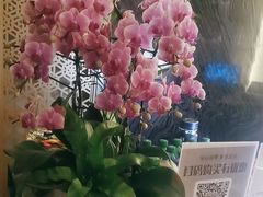 -润和养生·影音足道·按摩SPA(虹梅路店)