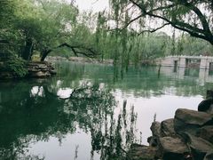 -颐和园