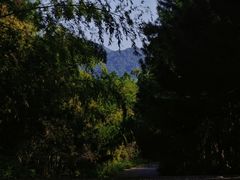 -南京市无想山景区