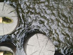 -广州市流溪河国家森林公园