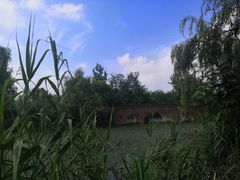 -白鹭湾湿地公园