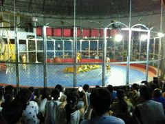 android_upload_pic-西安秦岭野生动物园