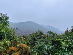 -句容茅山景区