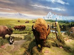 -陕西自然博物馆