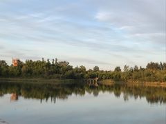 -东郊湿地公园