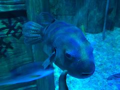 -沈阳海洋探索中心