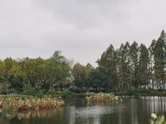 -金银湖国家城市湿地公园