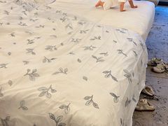 -香港九龙海逸君绰酒店