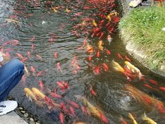 -成飞公园
